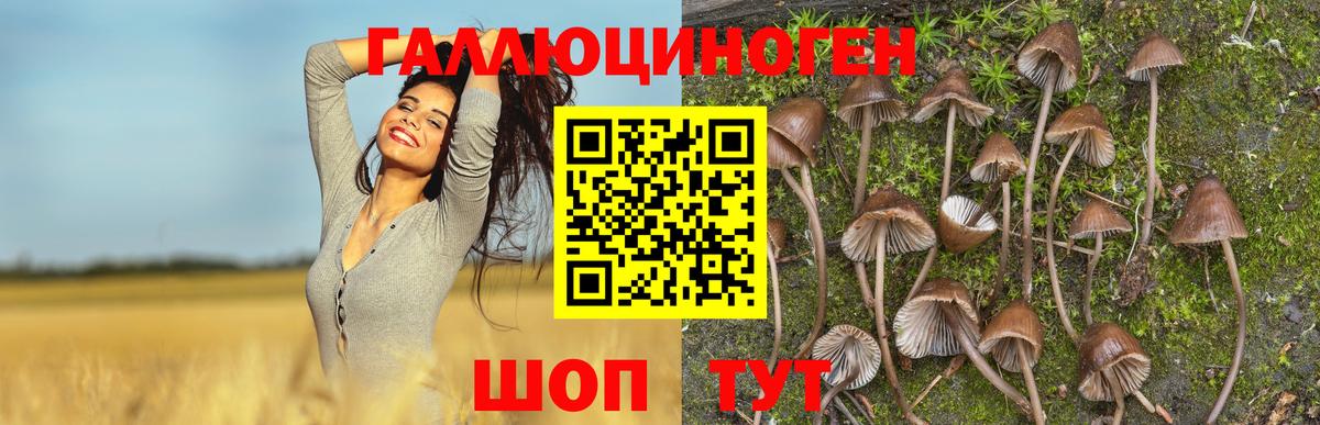 Галлюциногенные грибы мухоморы Сызрань