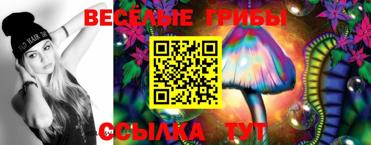 Галлюциногенные грибы Magic Shrooms  Галлюциногенные грибы прущие грибы  Сызрань  Вход с VPN 